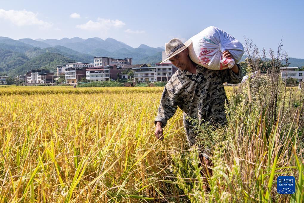 永利官网游戏站号